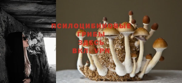 гашишное масло Алексеевка